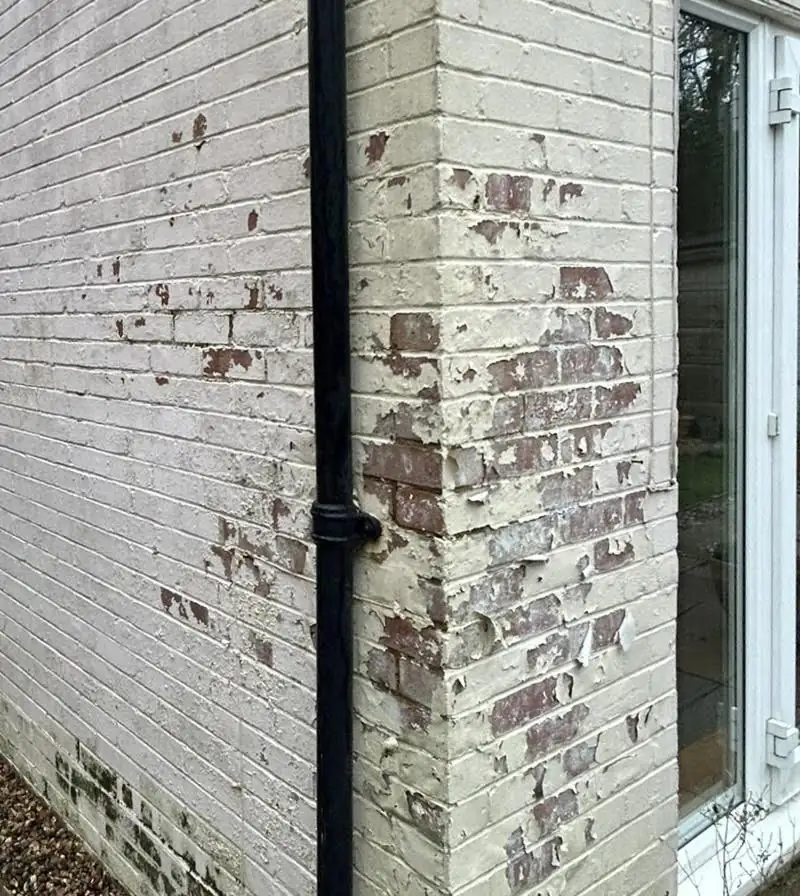 peeling-masonry-paint-on-brickwork.webp